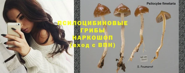 СК Абинск