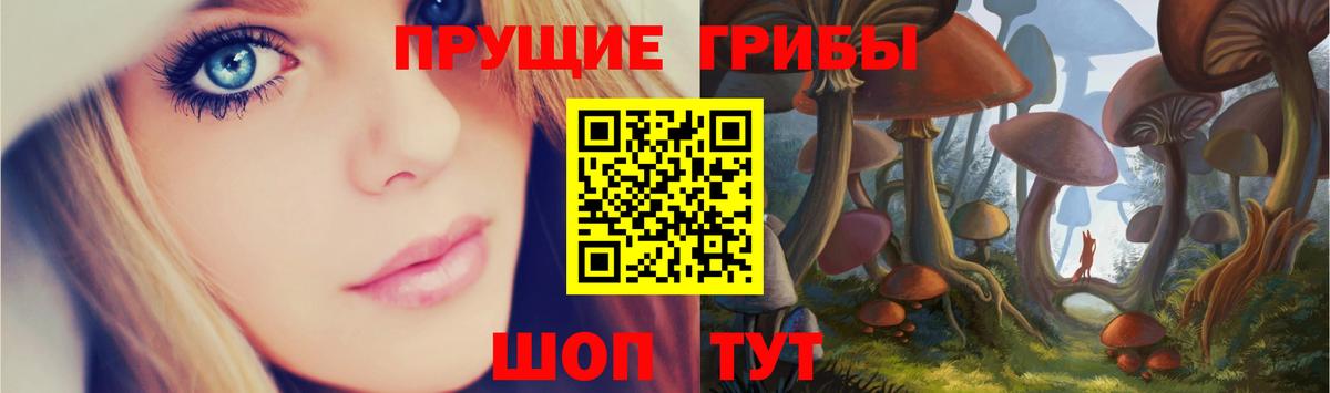 Одинцово  наркота  Галлюциногенные грибы прущие грибы  Вход с VPN  Псилоцибиновые грибы Magic Shrooms 